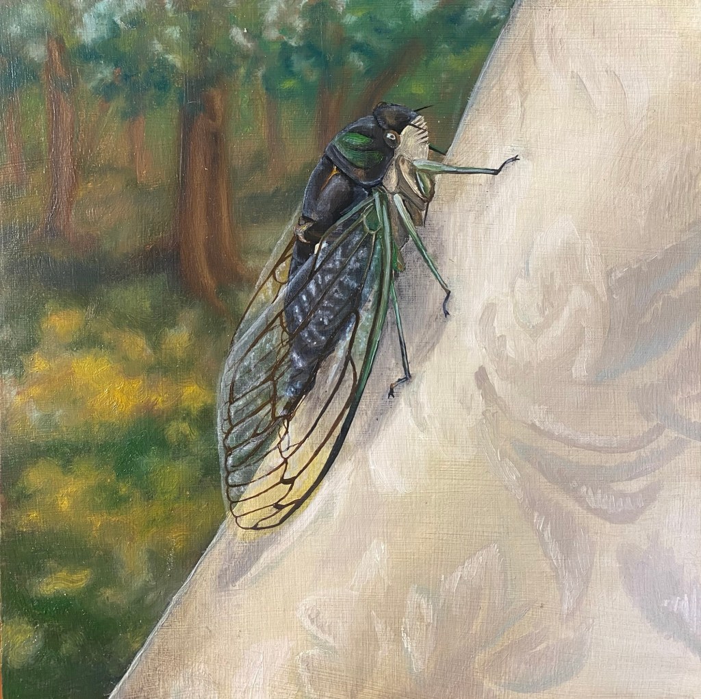 Still Life of&nbsp;Cicada