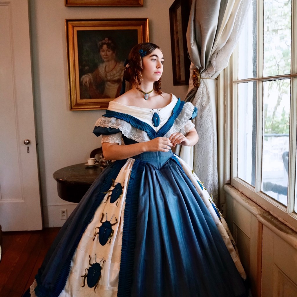 1860s Beetle dress